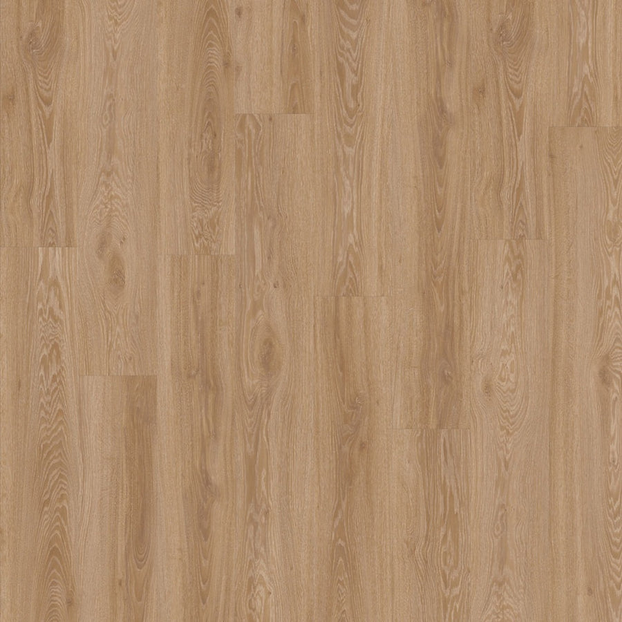 Moduleo Blackjack Oak 22450 Click PVC vloer
